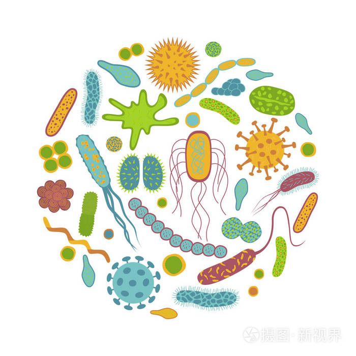 白色背景上的微生物王國(guó) 細(xì)菌與微生物圖標(biāo)的視覺(jué)分離與科學(xué)啟示