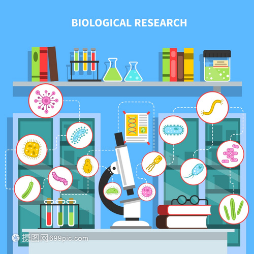 微生物學(xué)插圖 探秘微生物實(shí)驗(yàn)室與細(xì)菌研究設(shè)備的矢量世界